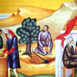 PROGRAMUL LITURGIC ÎN SĂPTĂMÂNA 7 - 13 FEBRUARIE 2021