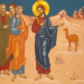 PROGRAMUL LITURGIC ÎN SĂPTĂMÂNA 24 - 30 NOIEMBRIE 2024