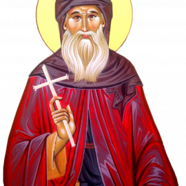 PROGRAMUL LITURGIC ÎN SĂPTĂMÂNA 26 OCTOMBRIE - 1 NOIEMBRIE 2025