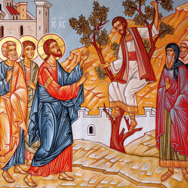 PROGRAMUL LITURGIC ÎN SĂPTĂMÂNA 25 - 31 IANUARIE 2026